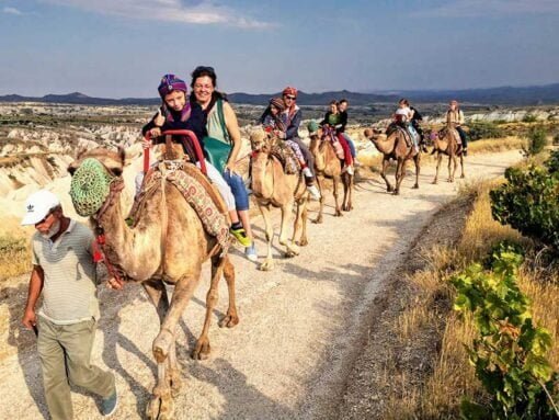 camel ride 2