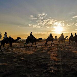 camel ride 5