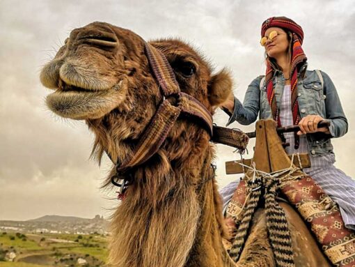 camel ride 7