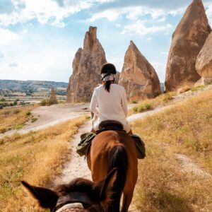 AdobeStock 258096291 1K JPEG