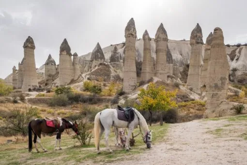 Paseo a caballo en Cappadocia - Imagen 6