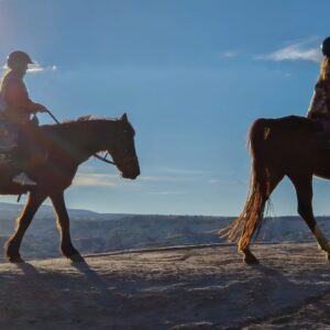 AdobeStock 463608535 1K JPEG