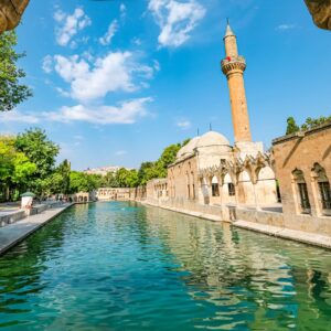 AdobeStock 502898835 scaled