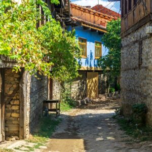 AdobeStock 238280427 Copy