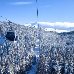 AdobeStock 312547581 Copy