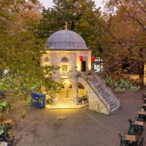 AdobeStock 364588754 Copy Copy