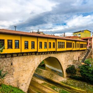 AdobeStock 376431923 Copy scaled