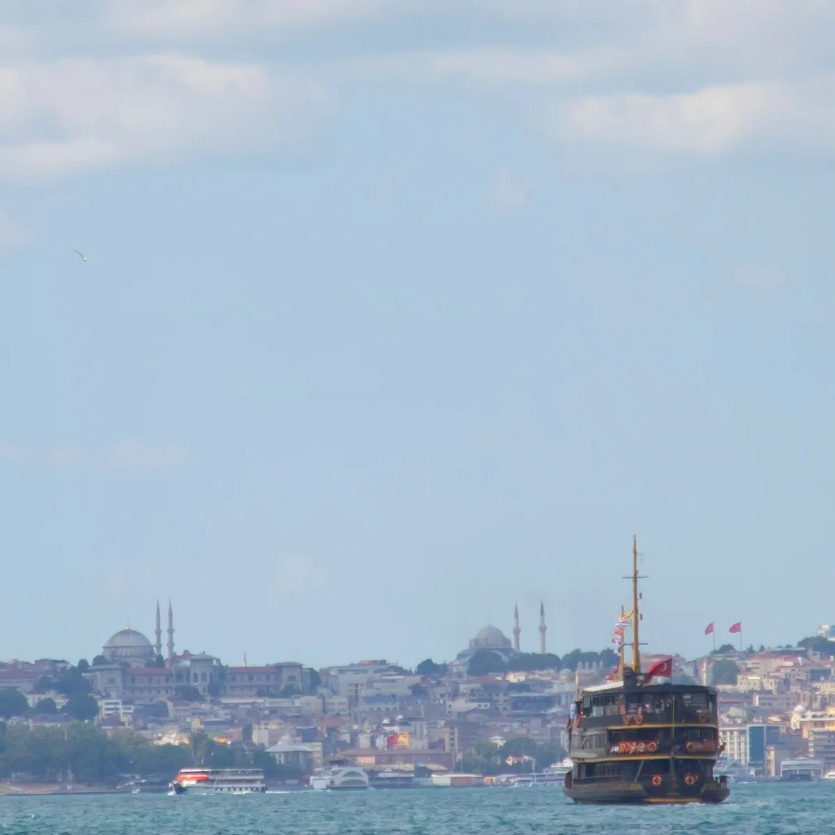Half Day Afternoon Bosphorus Tour