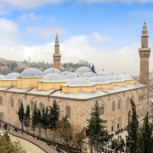 AdobeStock 77139686 Copy scaled