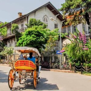 horse carriage princes islands istanbul