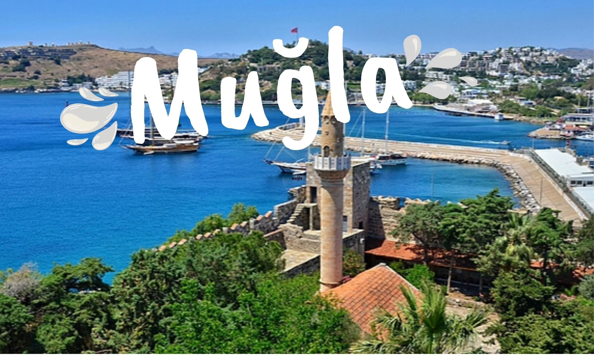 Book Your Private Transfer from Cappadocia To Muğla : Door-to-Door Service